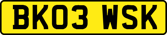 BK03WSK