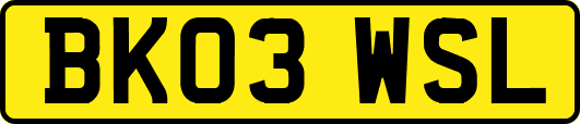 BK03WSL