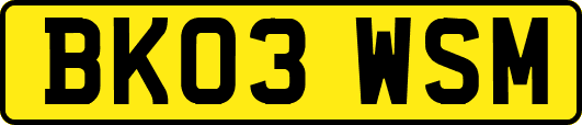 BK03WSM