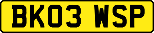BK03WSP
