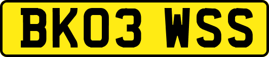 BK03WSS