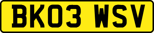 BK03WSV