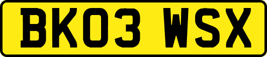 BK03WSX