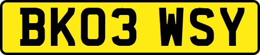 BK03WSY