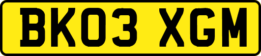 BK03XGM