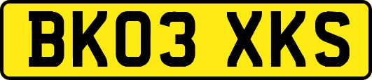 BK03XKS