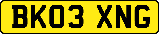 BK03XNG
