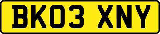 BK03XNY