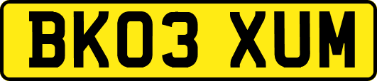 BK03XUM