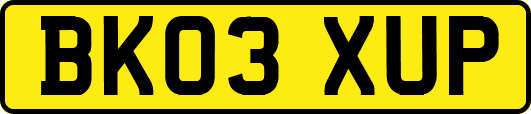 BK03XUP