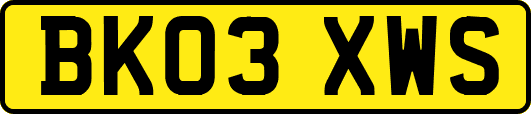 BK03XWS