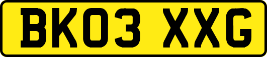 BK03XXG