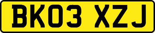 BK03XZJ