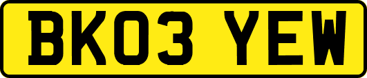 BK03YEW