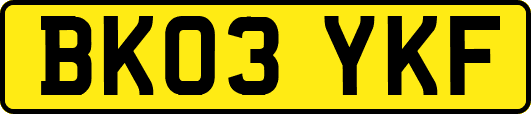 BK03YKF
