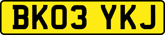 BK03YKJ
