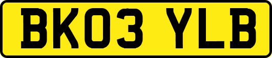 BK03YLB