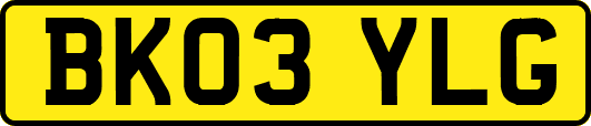 BK03YLG