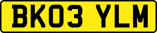BK03YLM