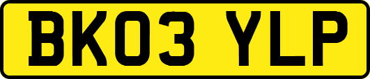 BK03YLP