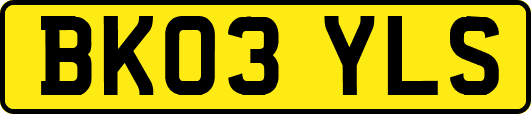 BK03YLS