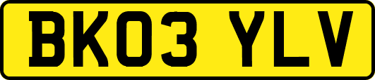 BK03YLV