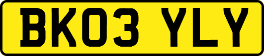 BK03YLY