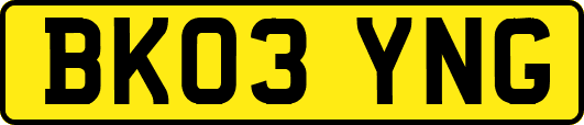 BK03YNG