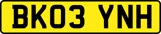 BK03YNH