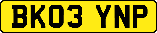 BK03YNP
