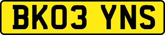 BK03YNS