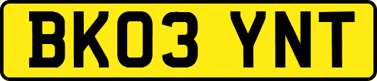 BK03YNT