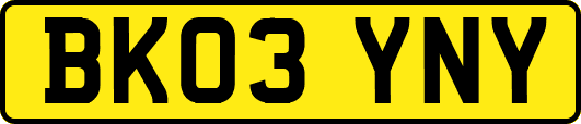 BK03YNY