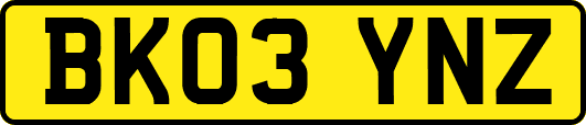 BK03YNZ
