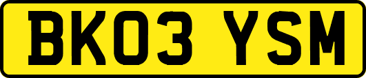 BK03YSM