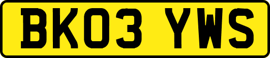 BK03YWS