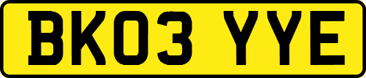 BK03YYE