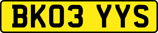 BK03YYS