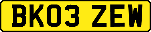 BK03ZEW