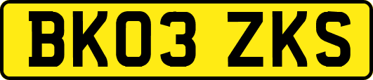 BK03ZKS
