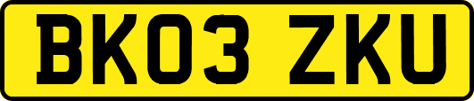 BK03ZKU