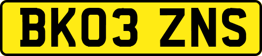 BK03ZNS