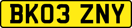 BK03ZNY