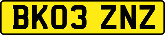 BK03ZNZ