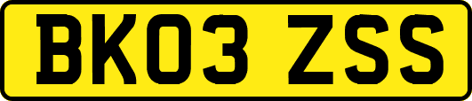 BK03ZSS
