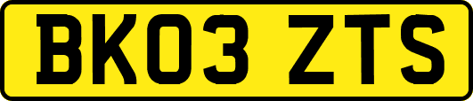BK03ZTS
