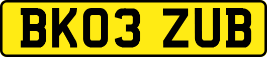 BK03ZUB