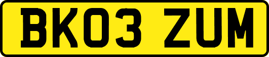 BK03ZUM