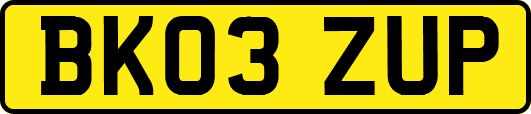 BK03ZUP
