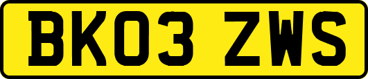 BK03ZWS